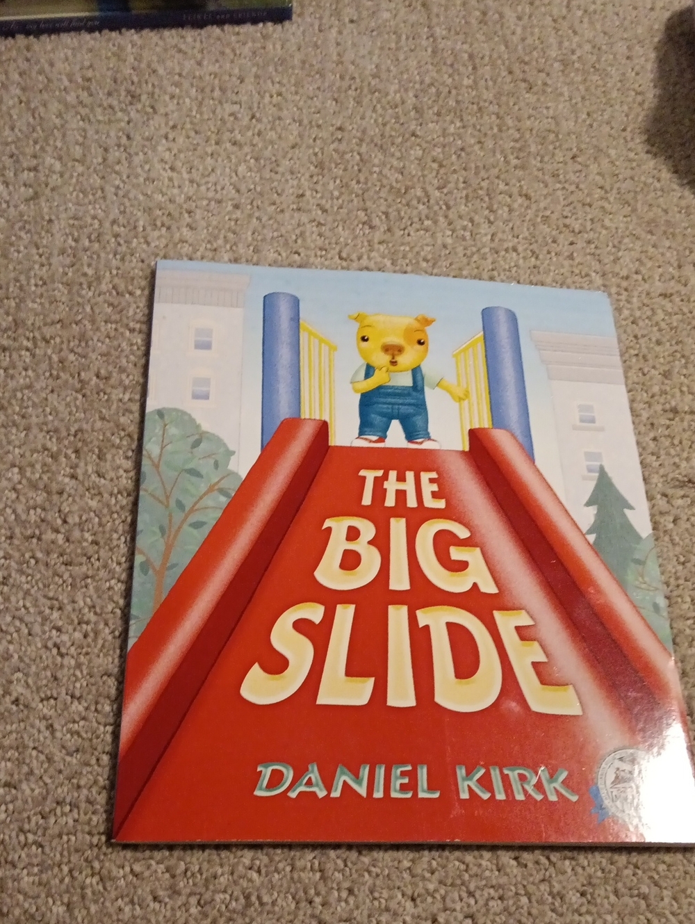 The Big Slide Kids Book - Red Cover